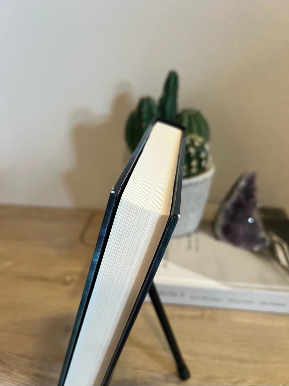 Xiphactinus Rich Shapero Hardcover Book 2025 Silicon Valley Satire Fiction⁠